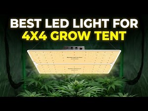 Best LED Light For 4x4 Grow Tent 2026: Top 5 Picks for Maximum Yield & Value