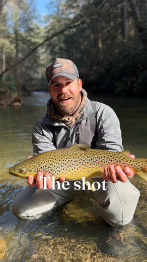 Abby J on Instagram: "⸻ ❄️🌲 Foot Log Hole 🌲❄️ The ice storm gave. The river kept. During the recent ice storm, a 100-year-old tree dropped clean across the Soque at Blackhawk Fly Fishing—and instead of moving it, we claimed it. New access. New structure. New water. We call it Foot Log Hole. Fish it from the log. Cross it with intention. This one’s got teeth—and it’s here for a while. Avid anglers only. 📍 Blackhawk Fly Fishing 🎣 Step light. Cast smart. #reelitfeeli