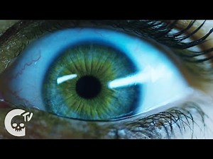 Wake | Short Film | Crypt TV