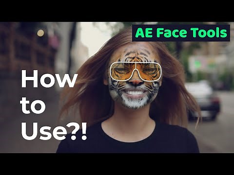AE Face Tools - How to Use