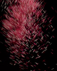 206K views · 152 reactions | Hello Lufkin!   Introducing cookies...