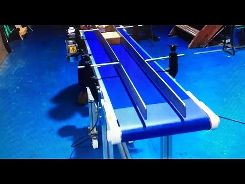 Conveyor with Adjustable Side Guide Rails on Medical Conveyor C-Trak Ltd