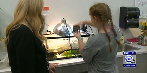 Aerospace, Science school highlights STEM in Toledo