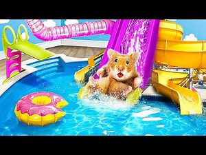 Hamster Maze with Traps! Mega Hamster Race