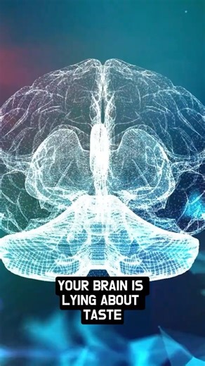 Your Brain Is Lying About Taste