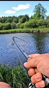 🎣 Angelurlaub in Schweden 🇸🇪 Erlebe unvergessliche Tage inmitten unberührter Natur 🌲🌊 Wir bieten dir hochwertige Ferienhäuser direkt am Wasser 🏡, perfekt ausgestattete Mietboote 🚤 und lehrreiche Guiding-Touren mit erfahrenen Profis 🎣🐟. Ob Einsteiger oder passionierter Angler – hier trifft Komfort auf Abenteuer ✨🔥 Dein Traum vom Angelurlaub beginnt genau hier. 📩 Bei Fragen einfach DM an uns. #angelurlaub #ferienhausschweden #angeln #ferienhaus #schweden | Catch a Guide