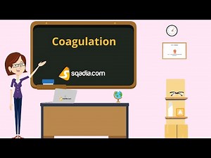 Coagulation | Animation Video | Medical Student Physiology | V-Learning™ | sqadia.com