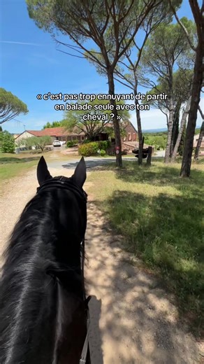 On s’ambiance trop 🕺🏻🕺🏻 #cheval #cavaliere #balade #trend #foryoupagе