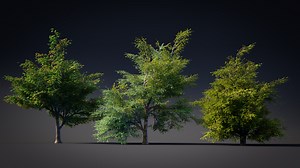 Tree creation with modular tree addon