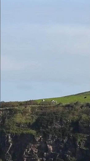 Nikon P950 Super Zoom Camera Whitehaven Cumbria