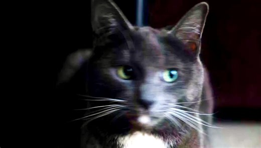 Video Upload test via API - 2026-04-29 08:40