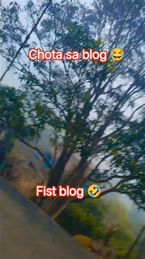 blog 😂 #comedy #funny #funnycomedy #fun #views #viral #automobile #comedyshorts #ssc #youtubeshorts