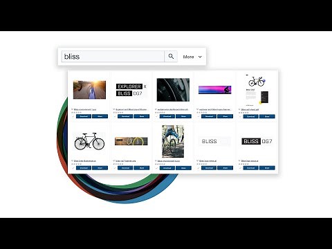 A Guide to the Widen Collective