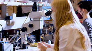 Eye Removal in Living Zebrafish Larvae to Examine Innervation-dependent Growth and Development of the Visual System