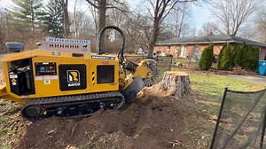 A decent sized maple coming out on the west side today!special thanks to Jesse Dickson and his crew pro finish tree care! | Corey Lee Stone
