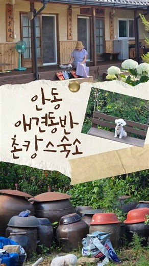 #협찬 #안동여행 #애견동반여행 #애견동반펜션 안동 촌캉스숙소 금서산방민박