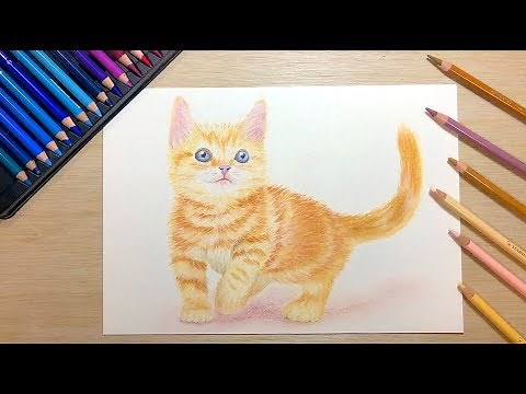 How to draw a cat with colored pencils [Time lapse]