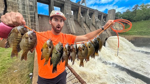 Dangerous spillway monster appears during intense bluegill fishing action