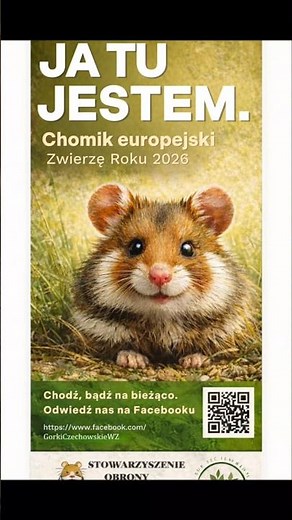 🐹 Chomik europejski Zwierzęciem Roku 2026. A w #MiastoLublin ? Cisza! #lublin #górkiczechowskie