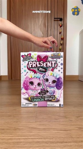 Present Pets🐶🧚🏻‍♀️🎁✨ #toyunboxing #toytok #unboxing #fyp #presentpets #rainbowfairy