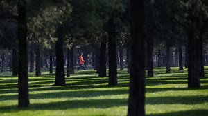 The psychology of self-tracking