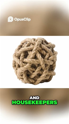 Understanding THE HOUSEMAID'S Views on Class #thehousemaid #sydneysweeney #amandaseyfried