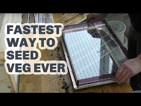 SEEDING 12,000 SEEDS PER HOUR Testing the Paperpot system Drop Seeder; a new year begins...