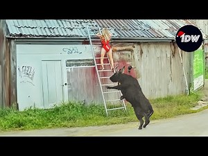 TOTAL IDIOTS AT WORK #325 | Bad day at work | Fails of the week | Instant regret compilation 2024