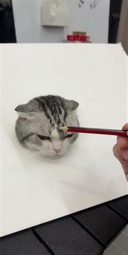 The Artistic Legacy: Zhang Daqian's Tigers vs Zhang Shaoyu's Cats