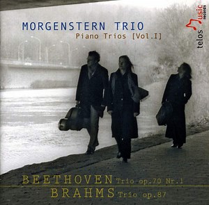 Beethoven, Brahms, Morgenstern Trio - Piano Trios [Vol.I]