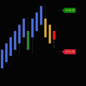 Backtestable Median & Uni Renko for NinjaTrader 8