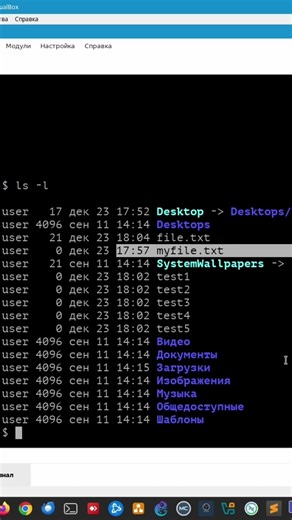Repeating the last access timestamp of a file via touch. #linux #linuxcommandlinetutorial