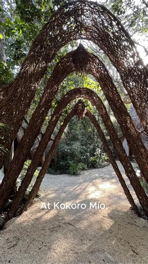 En Kokoro Mío, el spa es un refugio sagrado donde cuerpo, mente y espíritu se armonizan en medio de la selva. 🌿✨ Diseñado con respeto a la naturaleza, cada rincón te invita a reconectar contigo mismo y con la energía de la tierra. Desde tinas de agua hasta masajes al son de las aves, cada detalle es un ritual de bienestar. 🌺🕊️ El área de descanso, con vistas a la naturaleza, es un santuario de paz donde cada respiración te renueva. Ven y vive una experiencia única. Reserva vía WhatsApp: 998 3