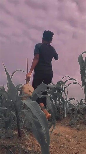Freedom laboi on TikTok
