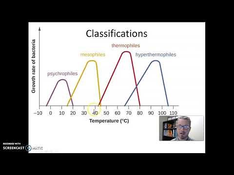 Microbial Growth - Temperature