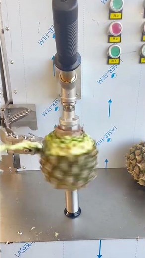 Effortless Precision: High-Speed Automated Pineapple Peeling Machine