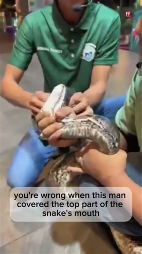 How many teeth does a snake have? #shorts