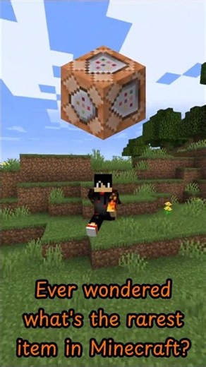 What’s The RAREST Item In Minecraft? 🤔