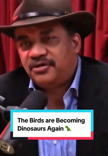 Birds Evolving Back into Dinosaurs Explained