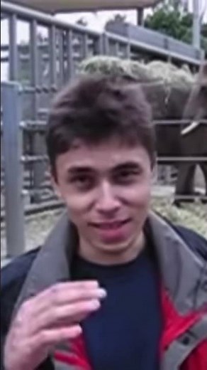 What Was The First YouTube Video?