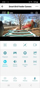 How to use the Bird Lover app?