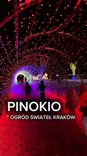Domi i Aga • Kraków i okolice, atrakcje dla dzieci, wycieczki on Instagram: "Ogród Świateł i śnieg to magia ❄️ Iluminacje świetlne, labirynt, gra terenowa, świecący plac zabaw, na którym spędziliśmy chyba najwięcej czasu i tysiące światełek w połączeniu ze śniegiem robią fantastyczny klimat ✨❄️ W tym roku tematem przewodnim w Krakowie jest bajka PINOKIO 🤥 Warto przypomnieć sobie historię przed wizytą :) Wjedziecie tu wózkiem oraz sankami. Nie wejdziecie z pieskami. 🩵 Ogród Świateł to wystawa s
