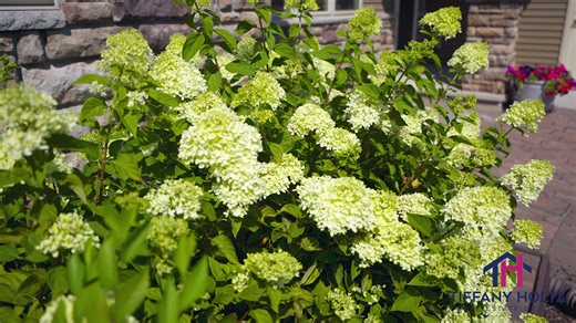 1K views | 2398 W Barley Way Appleton, WI...