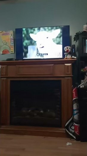 Oobi at a farm #shorts