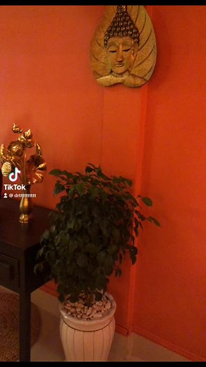 #satisfactionguaranteed #bestmassageinsihanoukville #sihanoukville #moonmassageandspa #relaxandcomfortguaranteed