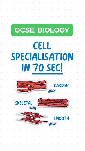 GCSE Biology - Cell Specialisation in 60 Seconds! 🌱🧬