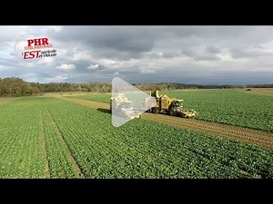 Betteraves : une campagne aux multiples défis