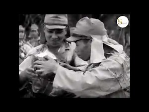 日本によるインドネシア侵攻、1942 - 日本ライトアジア。