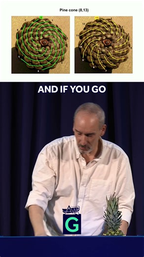 Pineapple Spirals Reveal Nature's Secret Code #plants #mathematics #fibonacci #goldenratio #nature