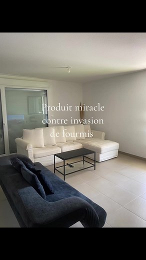 Comment gérer une invasion de fourmis chez soi